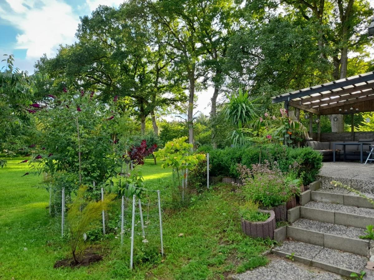 Haus Wald Und Wiese Wohnung Wiese Ehndorf 외부 사진